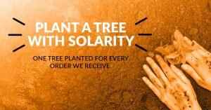 Plant a tree with Solarity